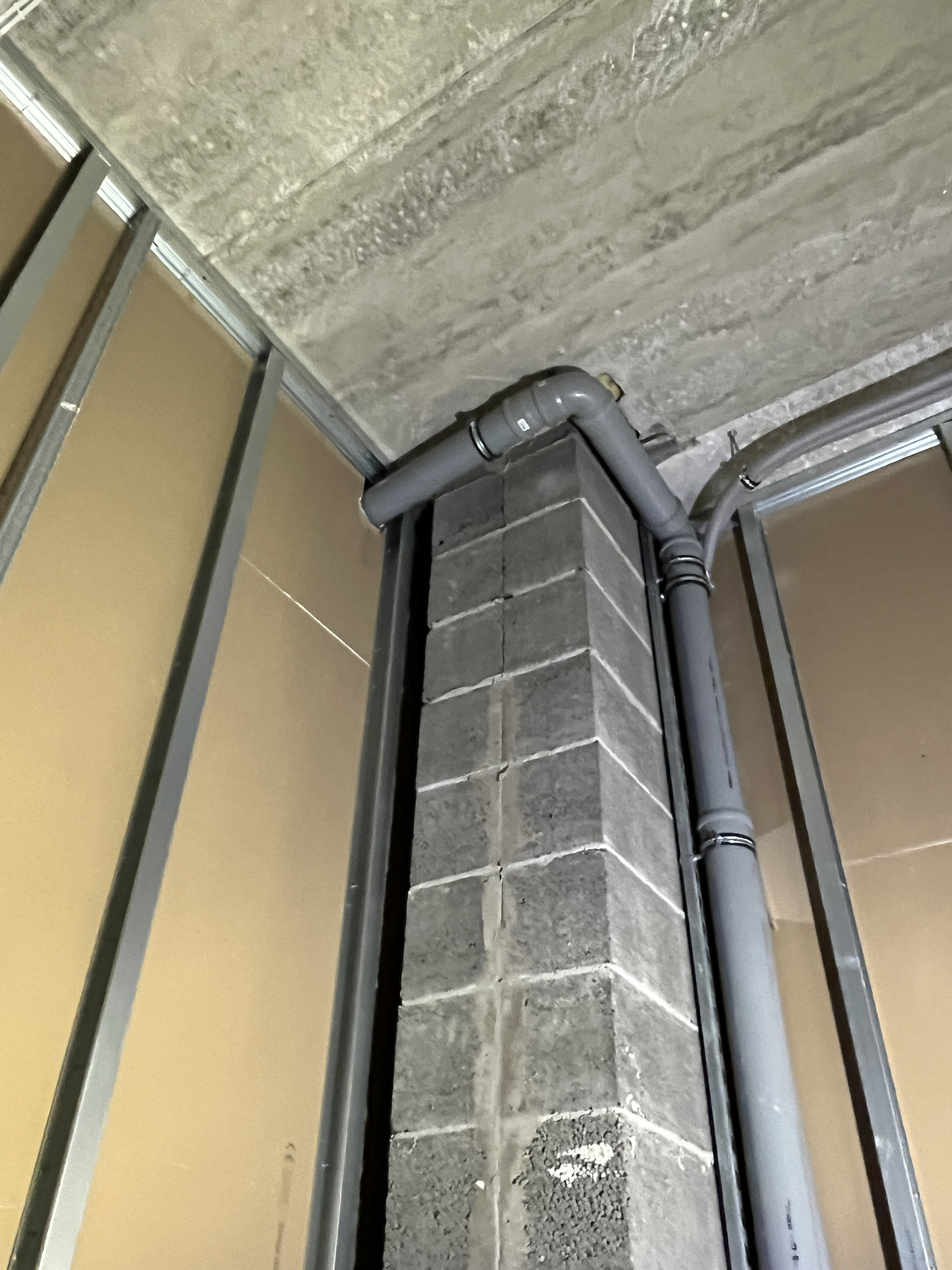 IMG_6781.jpg